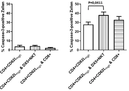 Abbildung  5-19:  Prozentuale  Anteile  Caspase-3-positiver  CD4 + CD62L high -Zellen  in  Mono-Kultur und in Co-Kultur mit DX5 + NKT-Zellen bzw