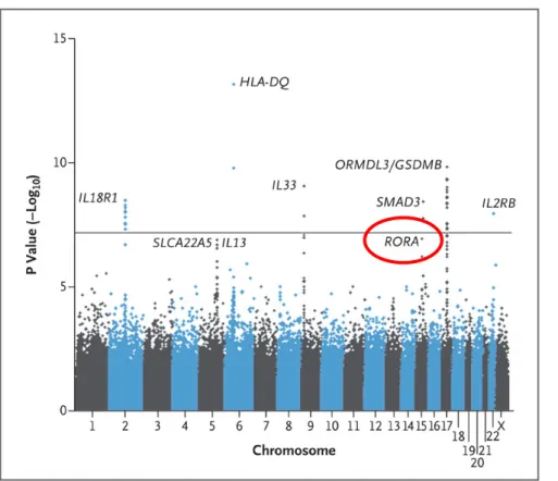 Abbildung 8. Ergebnisse einer genomweiten Assoziationsstudie zu Asthma aus dem Jahr  2010