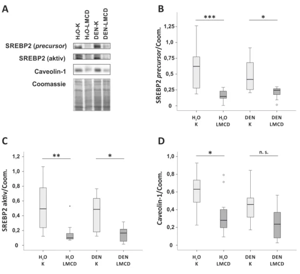 Abbildung  9: Hepatische Expression von am Cholesterinmetabolismus beteiligten Proteinen  der  C3H/HeNRj-Mäuse  nach H 2 O/DEN-Injektion und 16-wöchiger Fütterung der LMCD/K-Diät
