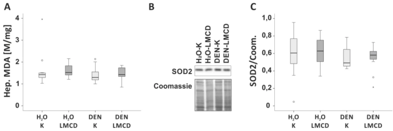 Abbildung 11: Bestimmung des oxidativen Stresses der C3H/HeNRj-Mäuse nach H 2 O/DEN-Injektion und  16-wöchiger Fütterung der LMCD/K-Diät