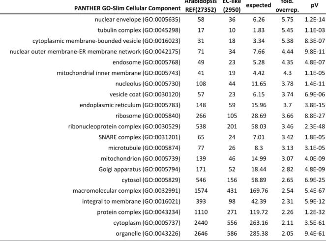 Table 2-5 Overrepresented cellular components in the EC-like proteomic data of microsomal  fractions.