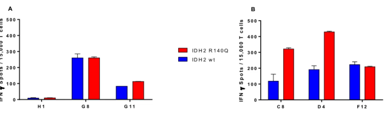 Figure 3.5: CD4 T cells stimulation with autologous IDH2 R140Q  protein expressing DCs