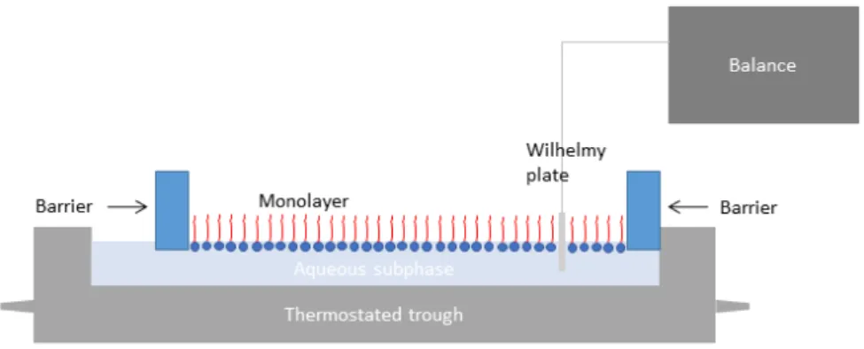 Fig. 1.4.3-1: Setup of a conventional Langmuir trough for investigating monolayers at the water/air interface