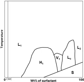 Fig. 1.4.3-4: Binary phase diagram of an aqueous surfactant solution showing different aggregation phases  above the CMC: micellar solution (L 1 ), hexagonal phase (H 1 ), cubic bicontinuous phase (V 1 ), lamellar phase 