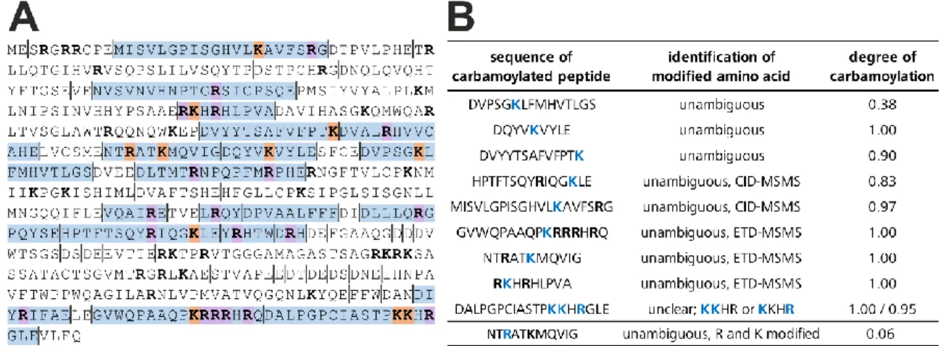 Figure 18  Arginine residues are hardly carbamoylated according to MS/MS analysis of pp65 pep- pep-tides  