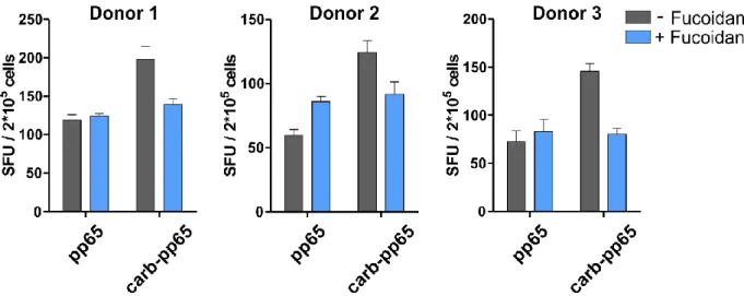 Figure 20   Fucoidan treatment inhibits increased T cell stimulation by carbamyolated pp65   PBMCs from 3 CMV seropositive donors were pretreated with fucoidan (100 µg/ml) for 30 minutes or left  untreated before stimulation with unmodified or carbamoylate