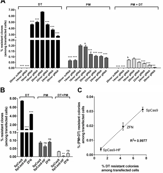 Figure  2.2.4:    Optimization of gene editing: influence of gRNA length and editing enzymes on  efficacy and specificity