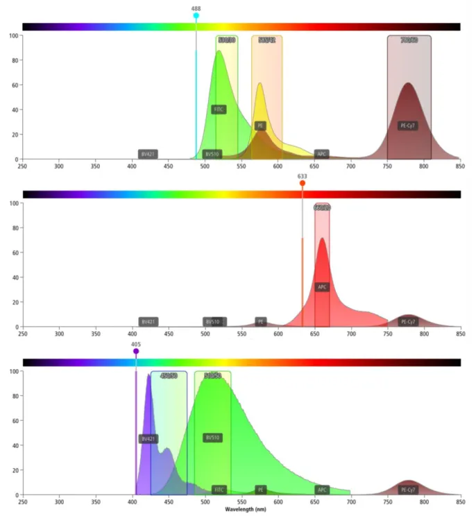 Abbildung 5 Emissionsspektren der in dieser Arbeit verwendeten Fluorochrome, angeregt durch den jeweilgen  Laser  des  FACSCanto  II