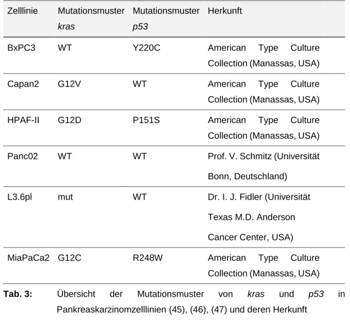 Tab. 3:   Übersicht  der  Mutationsmuster  von  kras  und  p53  in  Pankreaskarzinomzelllinien (45), (46), (47) und deren Herkunft 