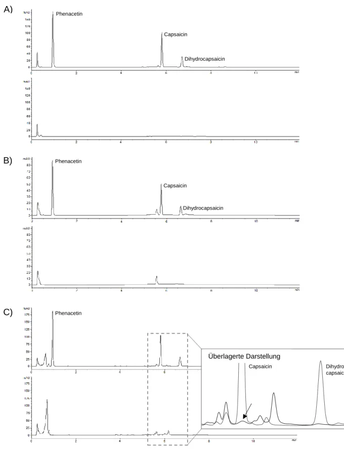 Abbildung 7: Chromatogramme nach der Extraktion von Capsaicin natural (65 % Capsaicin, 35 %  Dihydrocapsaicin)  aus  A:  Schweinehaut  (oben)  und  Leerwert  Haut  (unten),  B:  Spontex ®  -Schwamm (oben) und Leerwert -Schwamm (unten), C: Easyderm ® -Tuch 