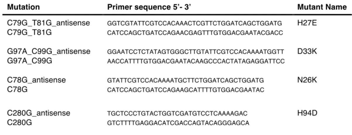 Table 2.1. Primers used in site-directed-mutagenesis to obtain the respective mutants