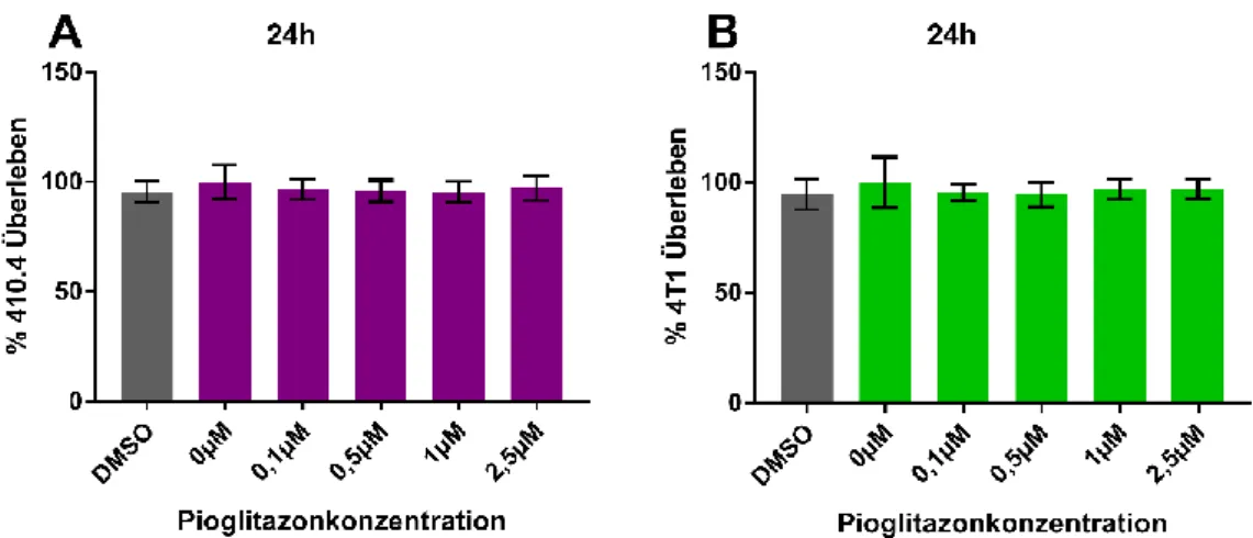 Abbildung 3.3: Einfluss von Pioglitazon auf das Zellüberleben  der murinen Mammakarzinomzelllinien  410.4 (A) und 4T1 (B) im MTT-Assay nach 24h 