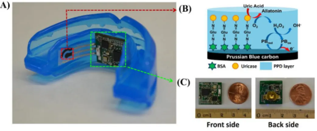 Figure  3.  (A)  Photograph  of  the  mouthguard  biosensor  integrated  with  wireless  amperometric circuit board