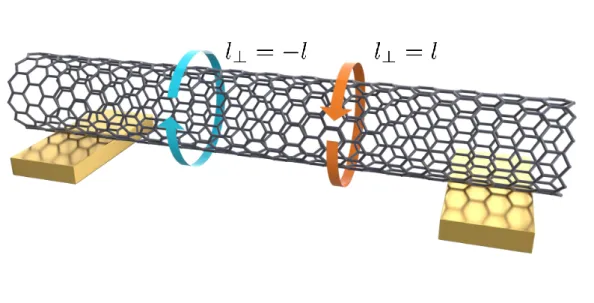 Figure 3.4: Schematic of a carbon nanotube device including the angular momentum states