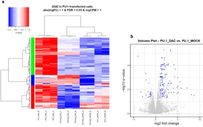 Figure 5-8 - DGE in PU.1-transfected CTV-1 cells treated with DAC vs. untreated