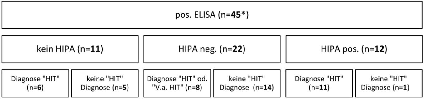 Abbildung 12: Dokumentation der positiven ELISA bei entsprechendem HIPA Ergebnis 