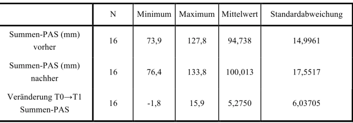 Tabelle 3. Deskriptive Statistik: Summen-PAS 