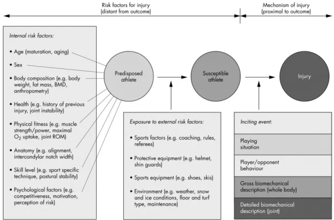 Abbildung 2: Multifaktorielles  Modell  zur  Ätiologie  von  Sportverletzungen  (Bahr  und  Krosshaug 2005) 