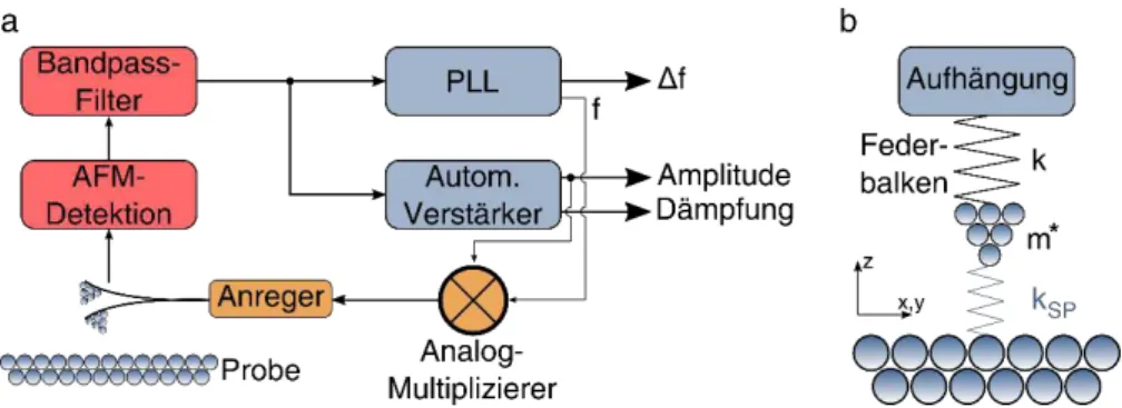 Abbildung 2-2: Schemata des AFM. (a) Rückkopplung im AFM. Das Signal des Federbalkens wird detektiert  und  durchläuft  einen  Bandpass-Filter