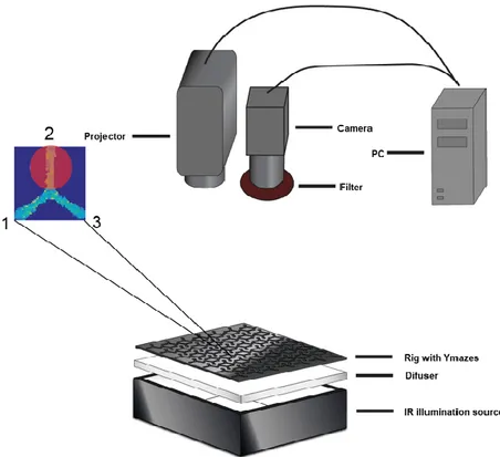 Figure 3. Y-mazes setup schematic. The behavioral box below with a zoomed-in view of a single Y-maze