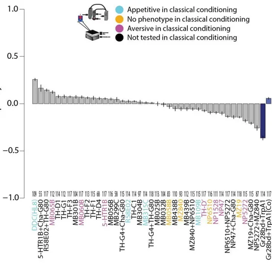 Figure  8.  Results  from  the  operant  behavior  screens.  Barplots  depict  each  driver  line  means  for  each  behavioral scores in descending order with error bars depicting the standard error of the mean  (SEM)