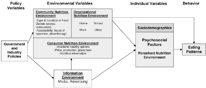 Abbildung 1: &#34;Model of community nutrition environments&#34;, aus Glanz et al. (50) 