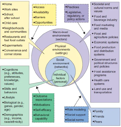 Abbildung 2: Sozio-ökologisches Modell zu Einflussfaktoren auf das Ernährungsverhalten, aus Story  et al