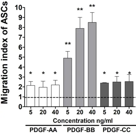 Figur 2: Konzentrationsabhängig zeigte sich nur für PDGF-BB eine signifikante Steigerung der  Migration von ASC (**p&lt;0.0001)