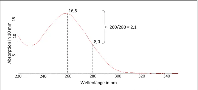 Abb. 3-8:   Absorptionskurve einer RNA-Lösung nach Isolation aus Zellen Wellenlänge in nm Absorption in 10 mm10515220 240 260 280 300 320  340 16,5 8,0 260/280 = 2,1  