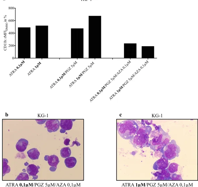 Abbildung  9:  Konzentrationsabhängige  Wirkung  der  Behandlung  mit  ATRA  auf  Differenzierung  von  THP-1  und  KG-1  Zellen