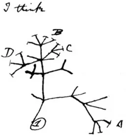Figure 1.1: Darwin’s sketch of the tree of life. A drawing from Darwin’s notebook showing his first sketch of an evolutionary tree from around 1837