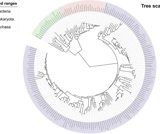 Figure 1.2: The tree of life representing the diversity of all living organisms. This tree is based on a phylogeny resulting from the analysis of 181 sequences