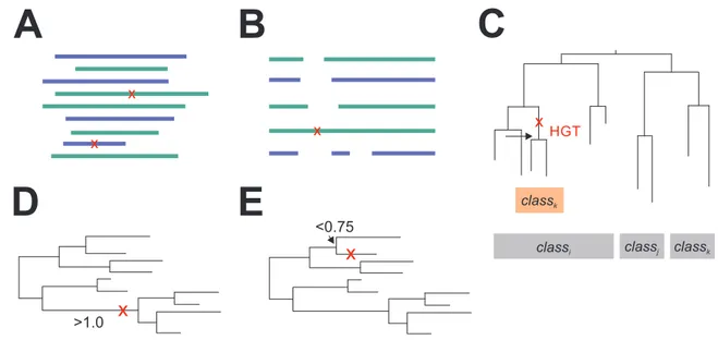 Figure 3.1: Criteria applied by FitSS4ASR to eliminate sequences. Striking elements (sequences or branches) are indicated by a red x