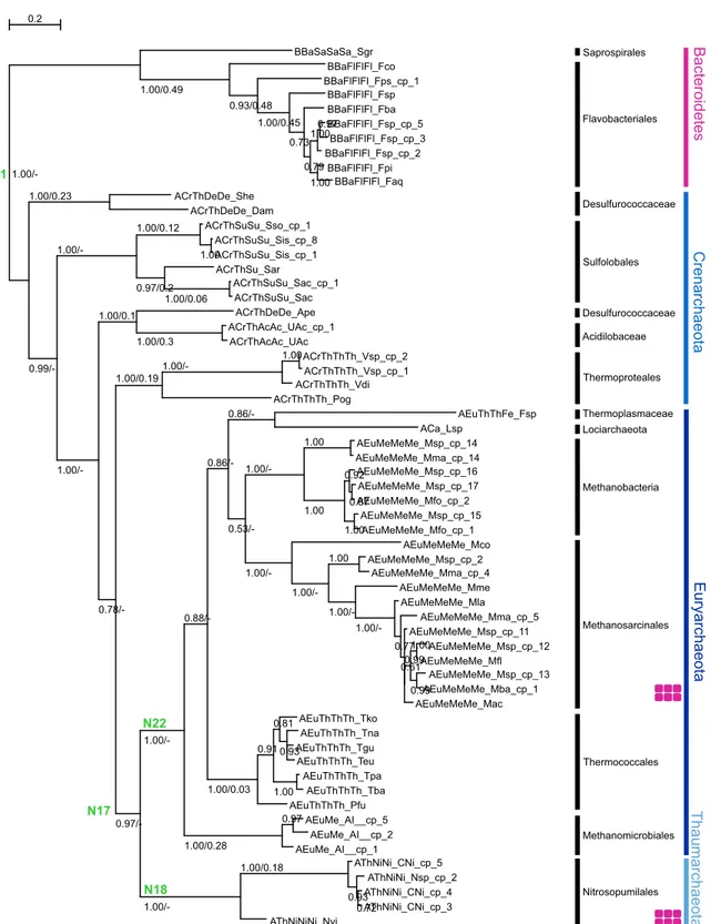 Figure 3.4: The phylogeny of the sequence set generated by means of FitSS4ASR for ASR of GGGPS predecessors