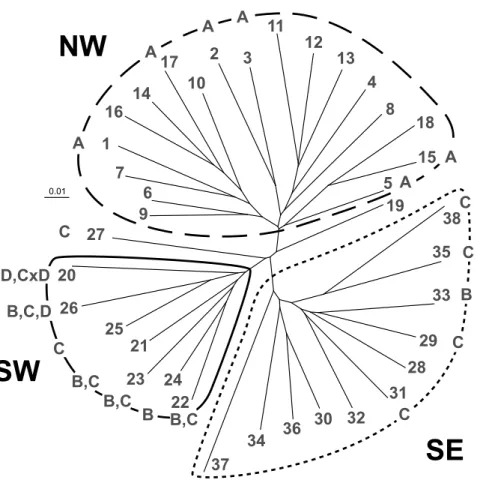 FIGURE 2.4 Unrooted  cluster  analysis of 38 Sanguisorba minor  populations based on 166  ampli-fied fragment length polymorphism  (AFLP) fragments using Cavalli  -Sforza &amp; Edwards chord distances  and the neighbour-joining (NJ)  algo-rithm