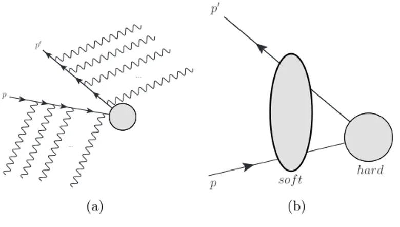 Fig. 4.1.: (a) Soft photons coming from the initial and outgoing fermion. (b) The sum of all diagrams, both real and virtual ones.
