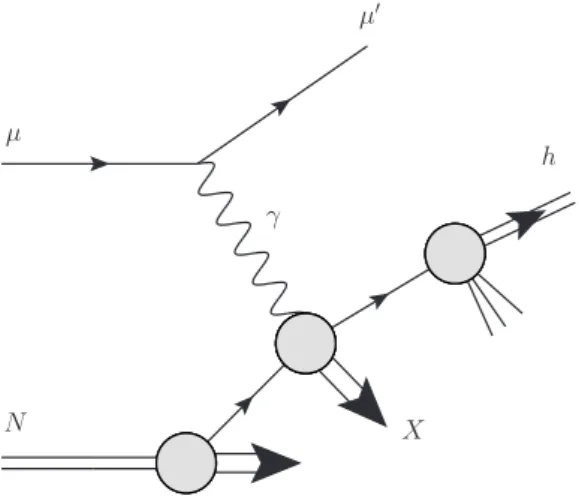 Fig. 5.1.: Single-inclusive high-p T hadron production in lepton scattering (direct contribution).