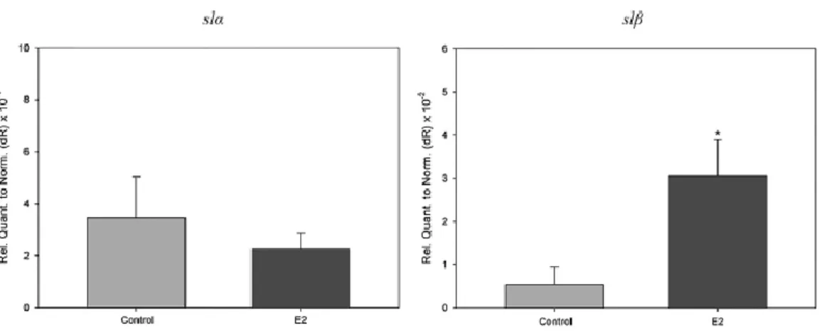Figure  5  Estrogen  effect  on  gene  expression  of  hypophyseal  and  hypothalamic factors in male carp