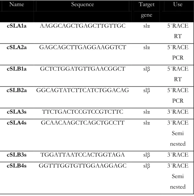 Table 3. Oligonucleotide for amplification of cDNA ends. 