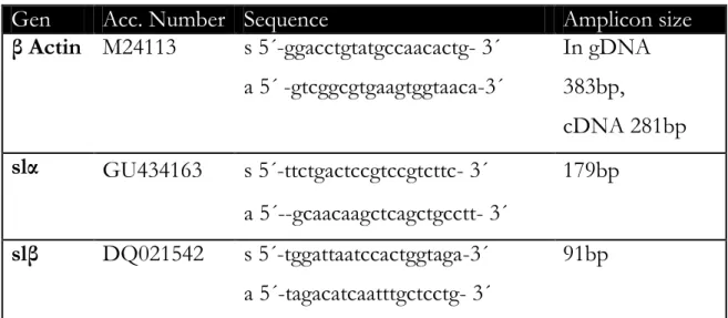 Table 5. Oligonucleotides for qPCR quantification of both  sl  transcript  levels. 