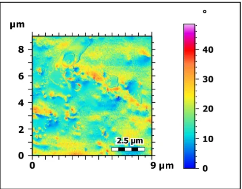 Figure 3.14: AFM - Material contrast imaging of the contaminated area due to different adhesion