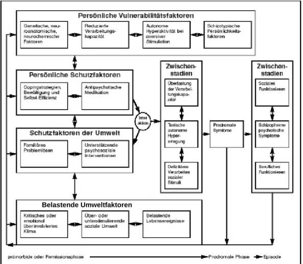 Abbildung 3: Vulnerabilitäts-Stress-Coping-Kompetenzmodell (Nuechterlein und Dawson,  1984 aus Behrendt, 2004, Folie 2.1)