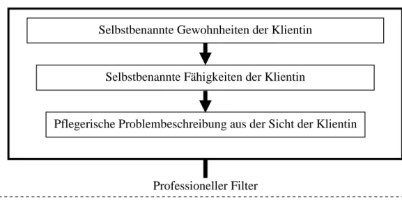 Abbildung 9: Professionelle Beschreibung von Pflegeproblemen nach Höhmann et al. 