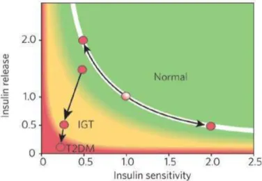 Abbildung 3: Schematische Darstellung der Beziehung zwischen Insulinsensitivität und Insulin- Insulin-sekretion bei Personen mit unterschiedlicher Glukosetoleranz (Kahn et al., 2006) 