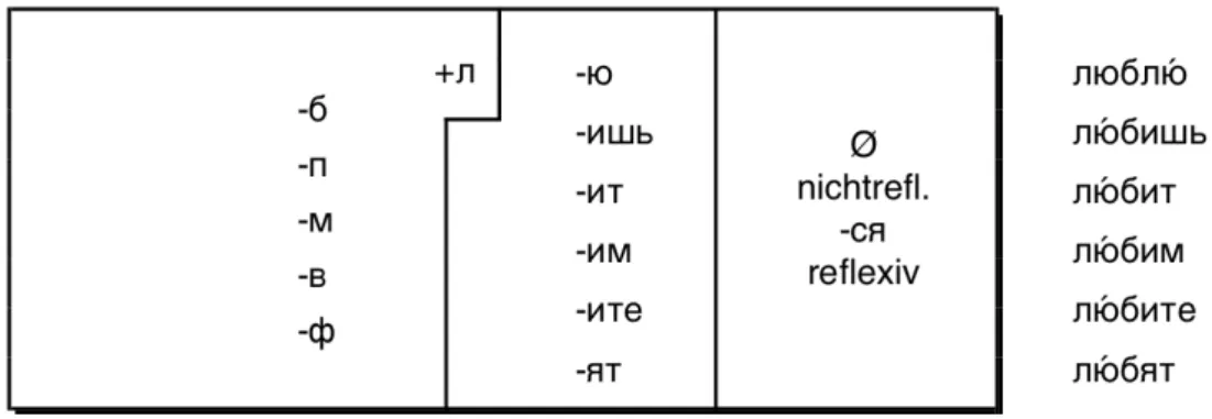 Fig. 2-2 Morpho(no)logischer Strukturtyp 