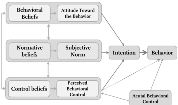 Abb. 3 Modell zur Theorie des geplanten Verhaltens (Ajzen, 2006). 