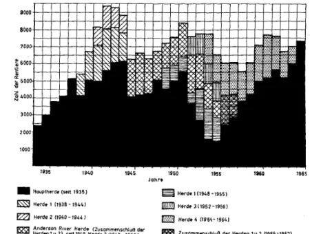Abb.  1:  Rentierbestand  in  den  einzelnen Herden des   Mackenzie-Delta-Experiments  während  der  Sommerzählungen  ~ 0: ~  5001l+--I---i'-+-~4UU'Ut-+--i---'  1940 • Hauptherde (Stlt  1935) ~ Horde  1 11938 - 1944) lZ2l Herde 2 (1940 -1944 )  1945 