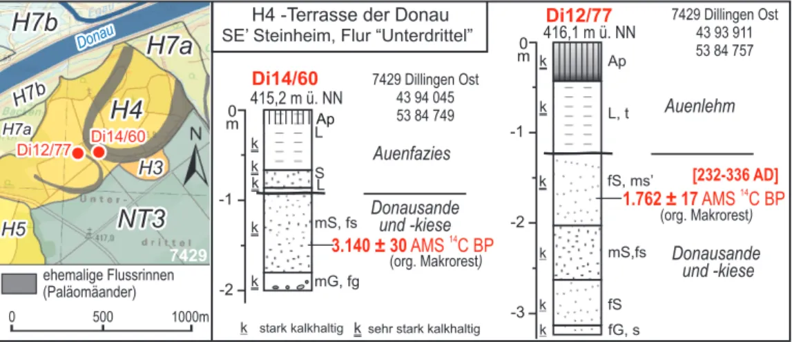 Abb. 8:  14 C-Alter organischer Makroreste aus H4-Flusssanden in den beiden Paläomä- Paläomä-andern südöstlich von Steinheim und südlich der Donau und nördlich der  Flur „Unter Drittel“ (Sondierungen Di12/77 und Di14/60; Kartengrundlage: 