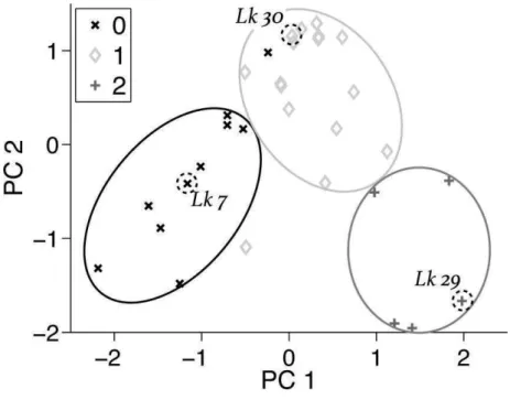 Abbildung 4: Lage der drei Gruppen im Diagrammfeld. 