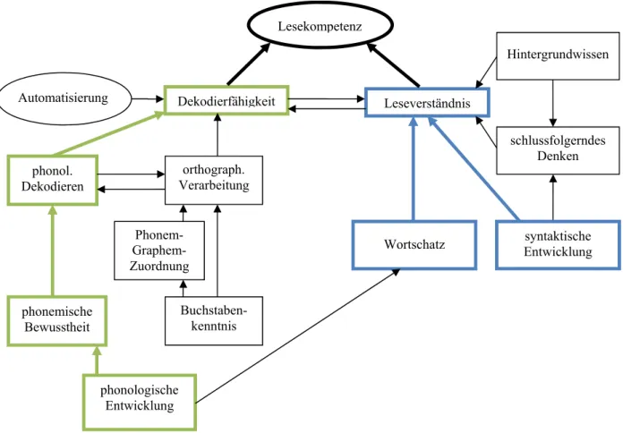 Abbildung 1 Die zwei Entwicklungsstränge der Lesekompetenz nach Lundberg (2002). Grün  markiert ist der Hauptentwicklungsstrang der Dekodierfähigkeit; blau markiert ist der  Haupt-entwicklungsstrang des Leseverständnisses